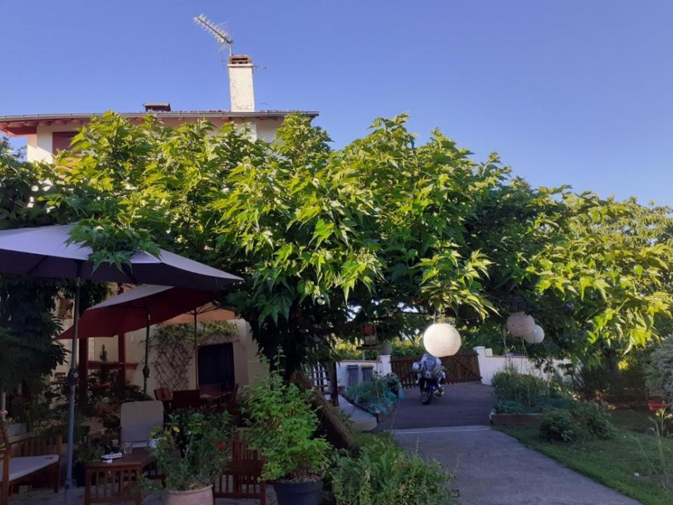 Au Bosquet, Chambre Et Salle De Bains Avec Petit Dejeuner A 600 M Du Centre Dans Un Cadre Calme Et Verdoyant 萨利-德贝阿恩 外观 照片